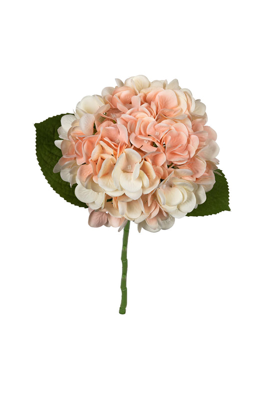 Hortensia zalm roze