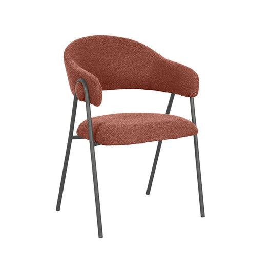 Eetkamerstoel Lowen | Verschillende kleuren