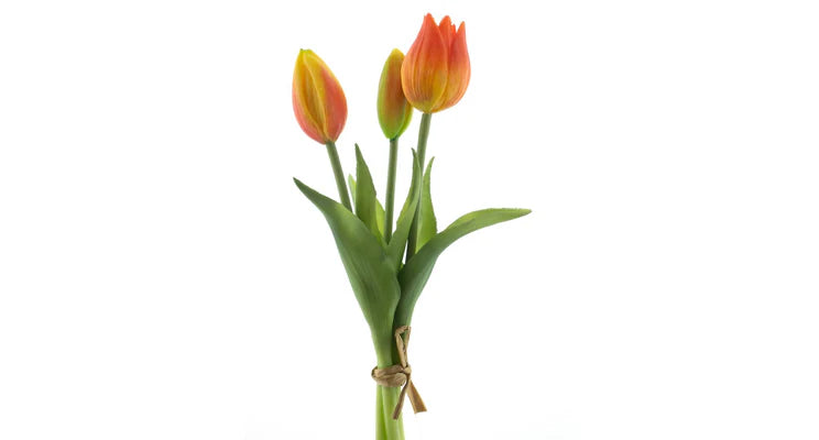 Tulpenstrauß, orange, 3 Stück