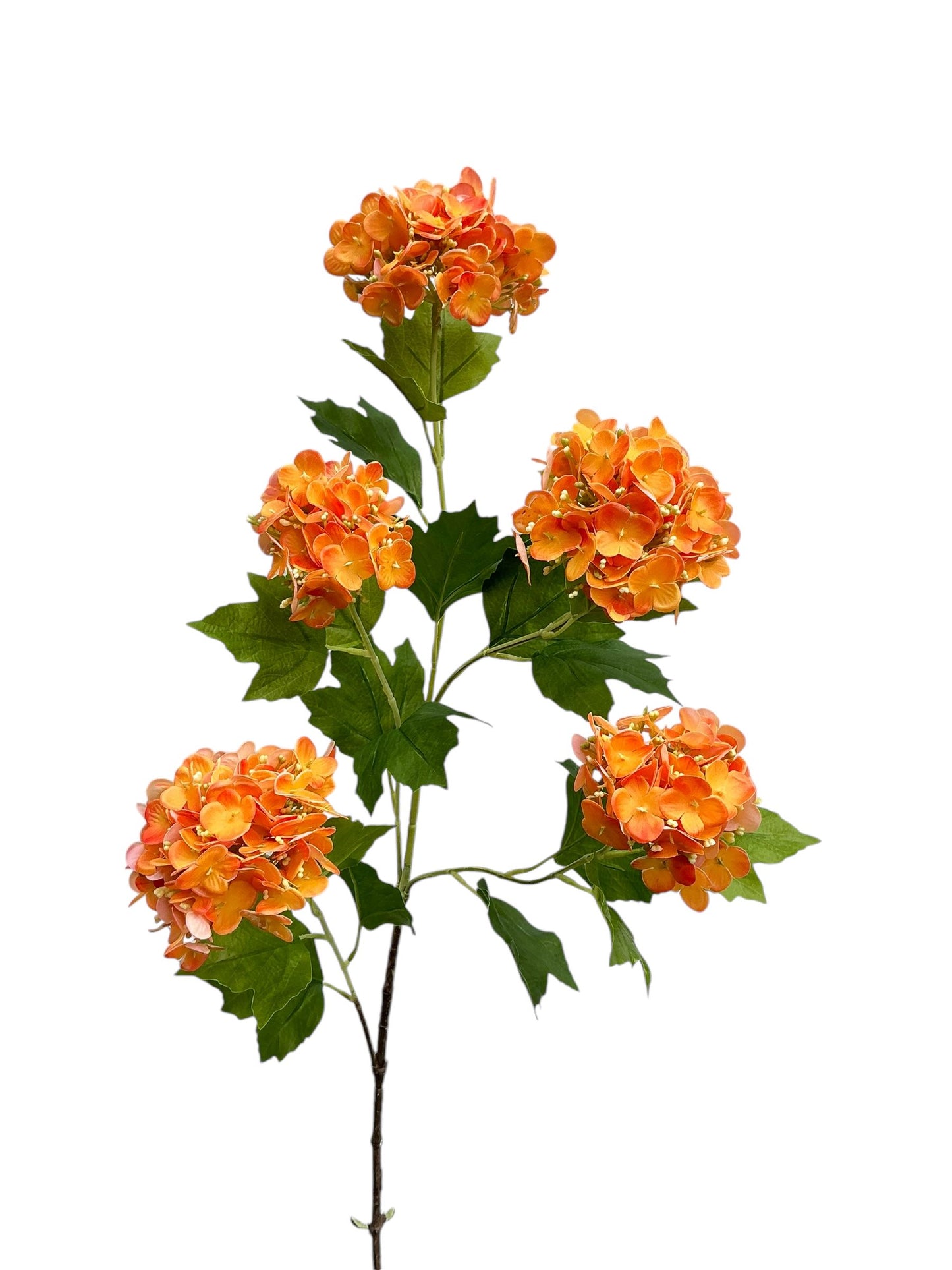 Sneeuwbal tak oranje