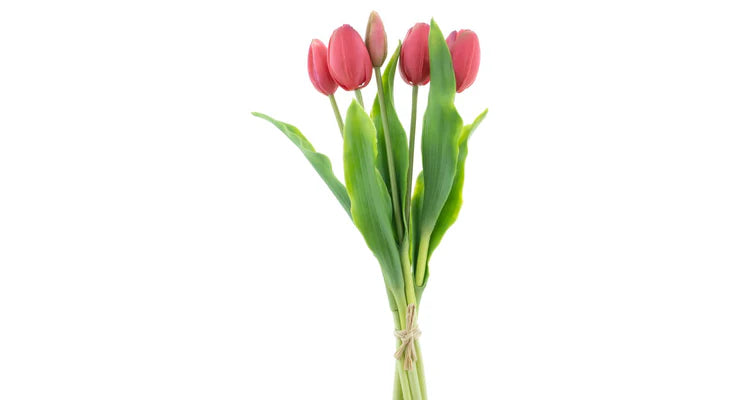 Tulpenstrauß Schönheit 5 Stück