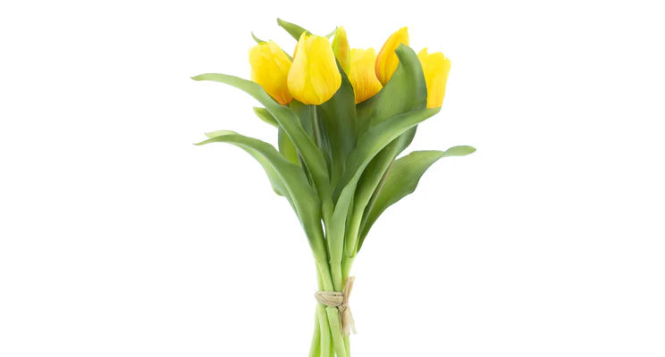 Gelber Tulpenstrauß, 7 Stück