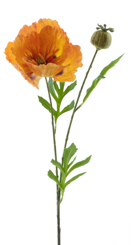 Poppy spray oranje