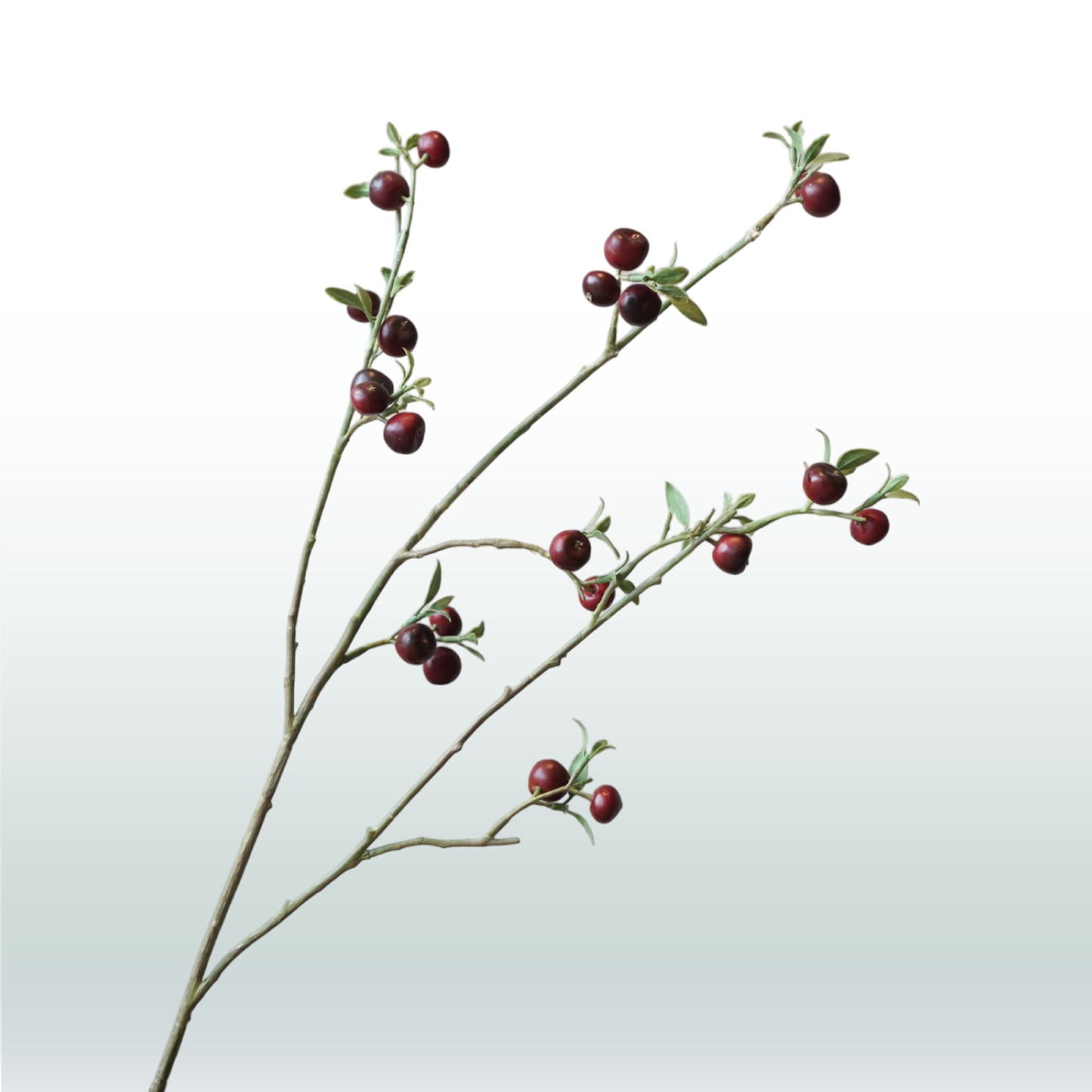 Appeltak (donker) rood