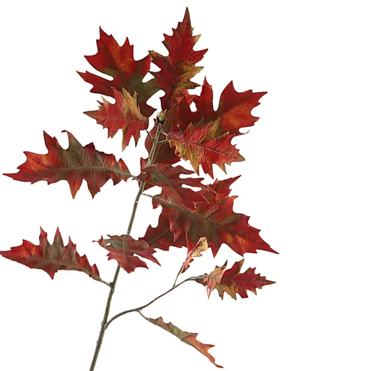 Eikenblad tak Rood