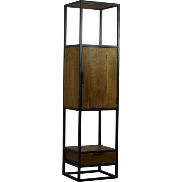 Dex bookcase with 1 door