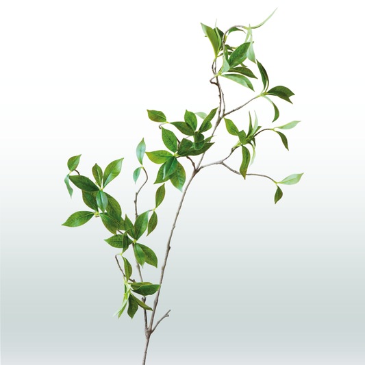 Liaan groen