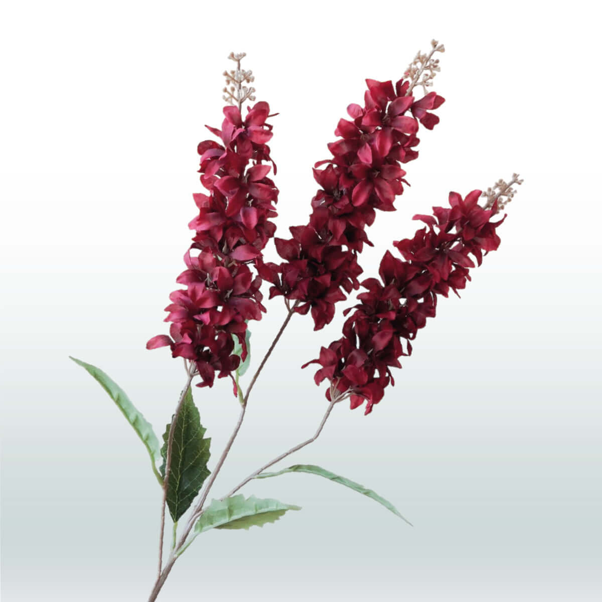 Larkspur Delphinium Three-branched 82cm red