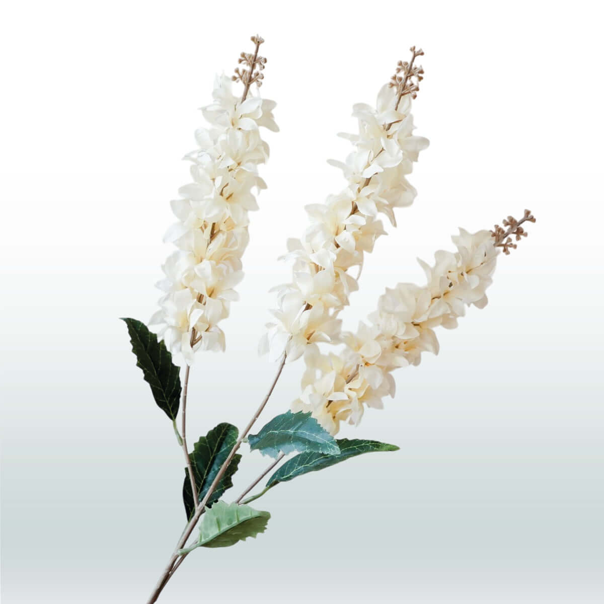 Larkspur Delphinium Three-branched 82cm white