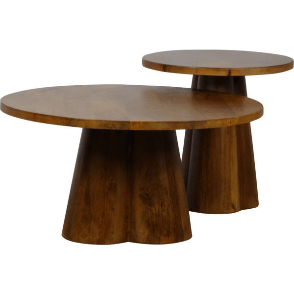 Alana 2 delige salontafelset met dunne ronde bladen en stijlvol ontwerp, ideaal voor moderne interieurs.