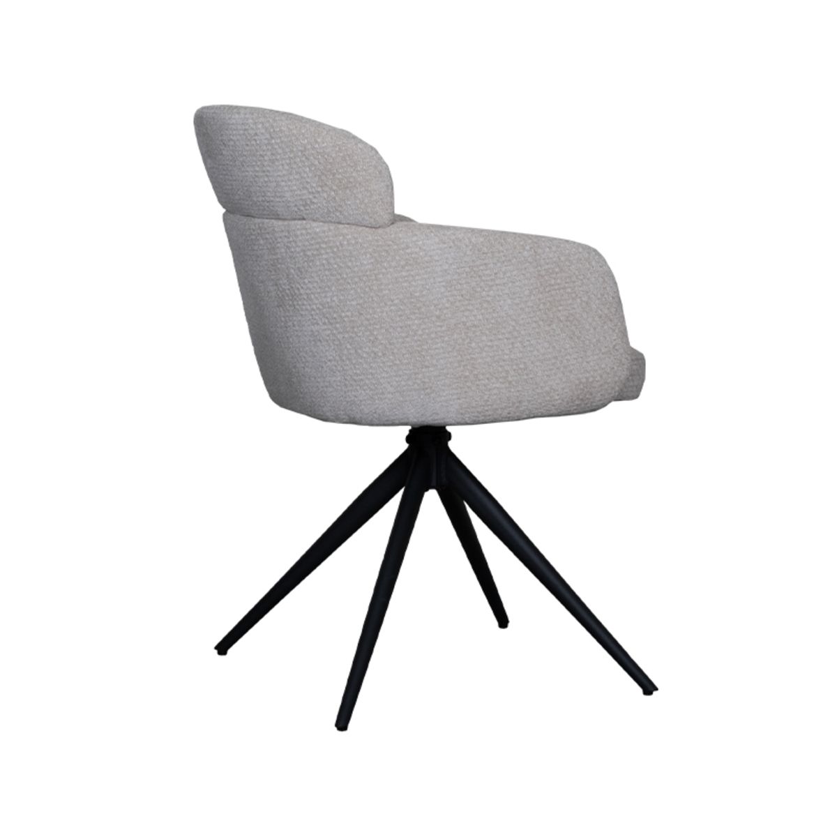 Esszimmerstuhl Levi | verschiedene Farben 