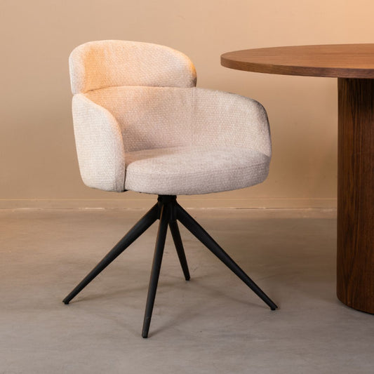 Esszimmerstuhl Levi | verschiedene Farben 