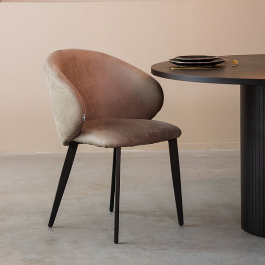 Esszimmerstuhl Logan | Verschiedene Farben 