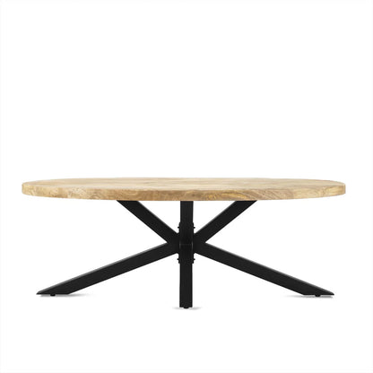 Ellips coffee table with spider legs