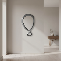 Spiegel Zilver Organisch