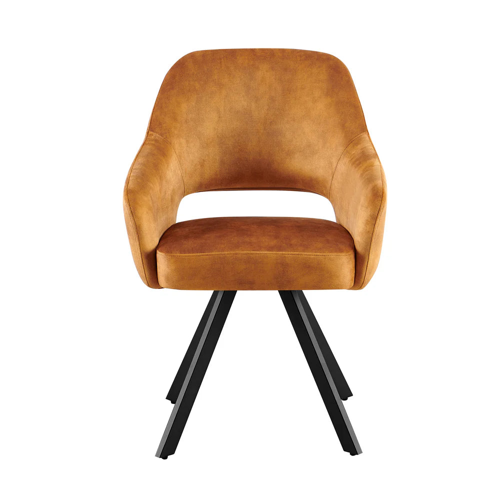 Esszimmerstuhl Emilie | verschiedene Farben