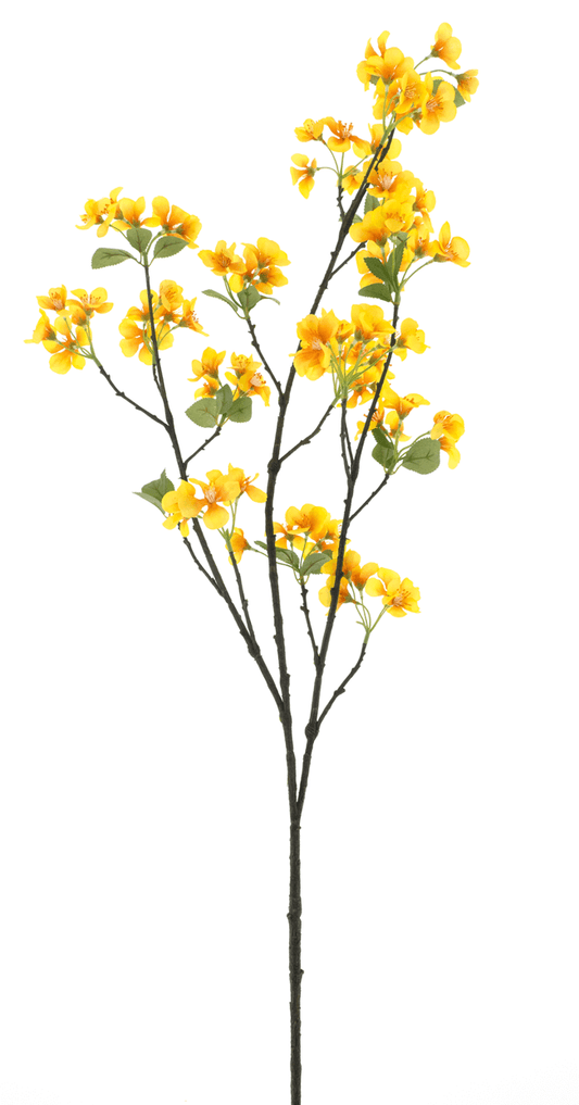 appelbloesem geel 116cm