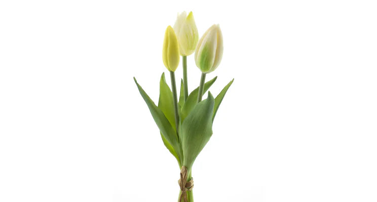 Tulpenstrauß, cremefarben, 3 Stück