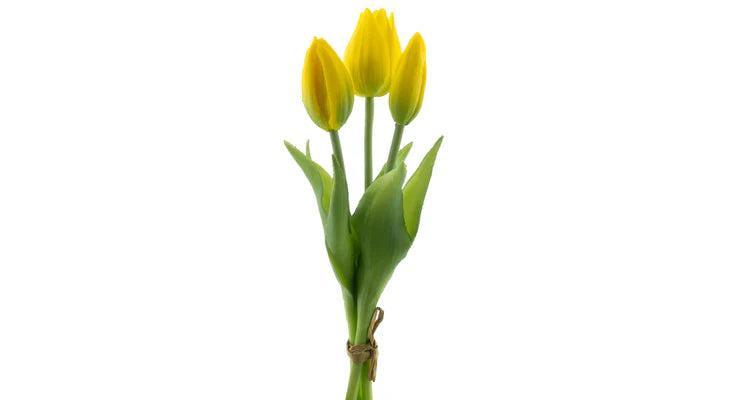 Gelber Tulpenstrauß, 3 Stück