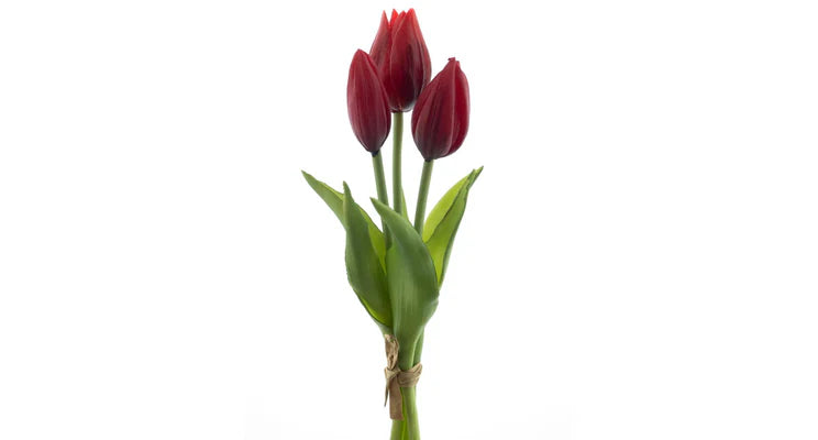 3-teiliger Strauß roter Tulpen