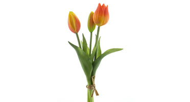 Tulip bouquet Orange 3 pcs
