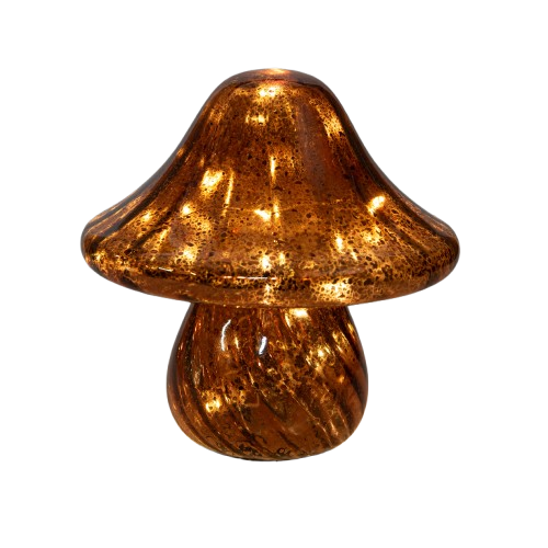 Paddenstoel met verlichting