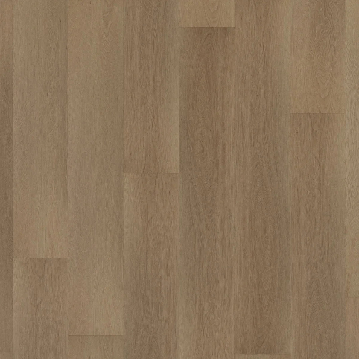 ROOM5 Regency Wood Rechte Stroken Plak PVC 555-100107