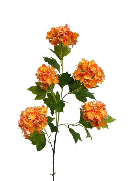 Sneeuwbal tak oranje