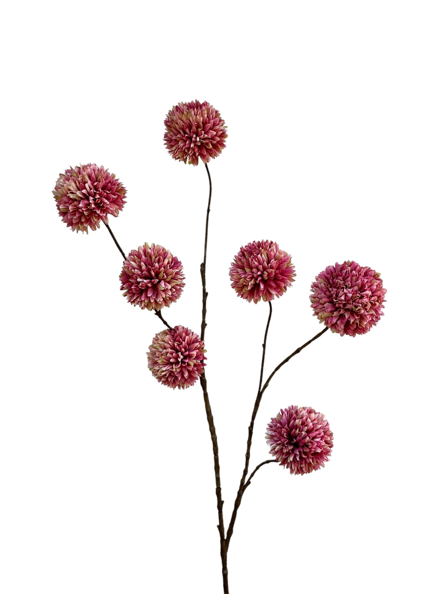 Pompom branch pink