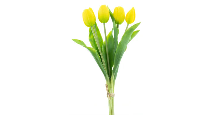 Gelber Tulpenstrauß, 5 Stück