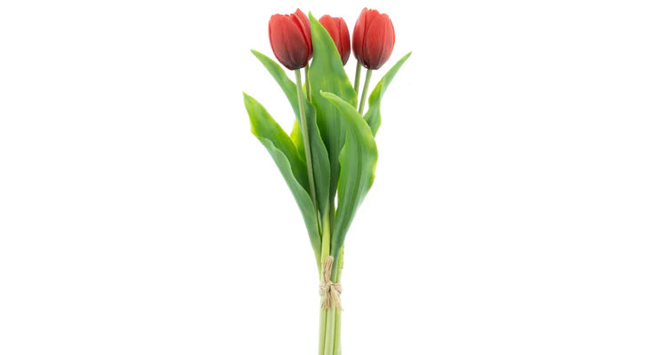 Strauß roter Tulpen, 5 Stück