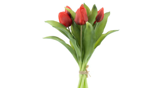 Tulpenboeket rood 7st