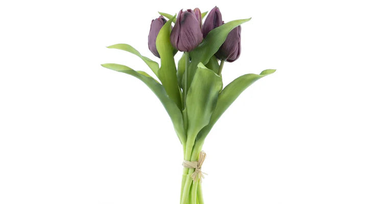 Tulip bouquet aubergine 7 pcs