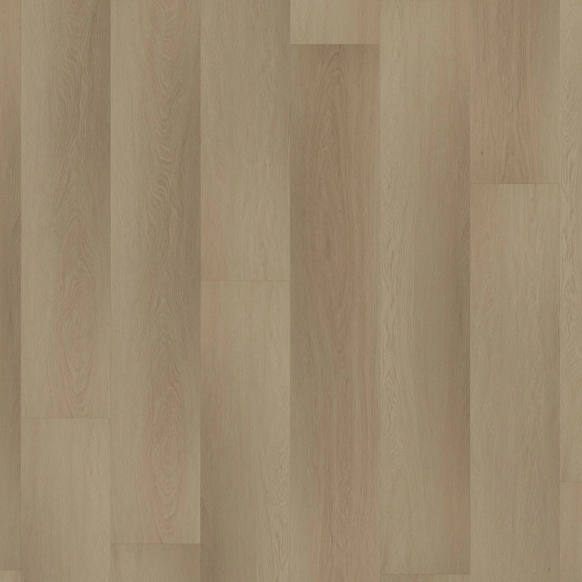 ROOM5 Charming Suite Rechte Stroken Plak PVC 555-100108