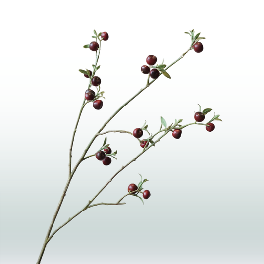Appeltak (donker) rood