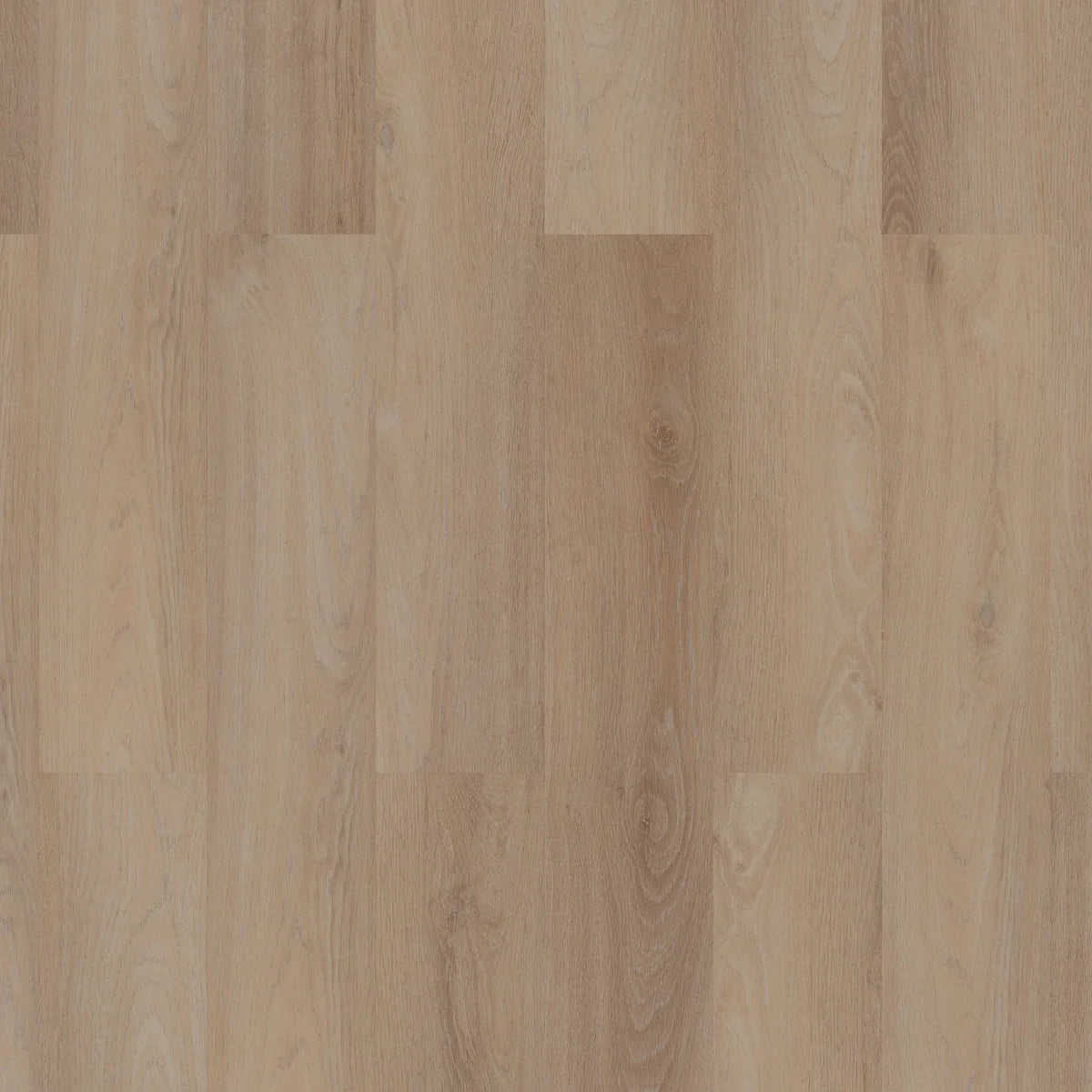 ROOM5 Royal Champagne Rechte Stroken Plak PVC 555100101