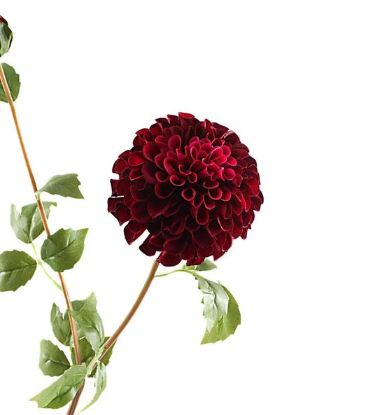 Dahlia spray boudoir rood