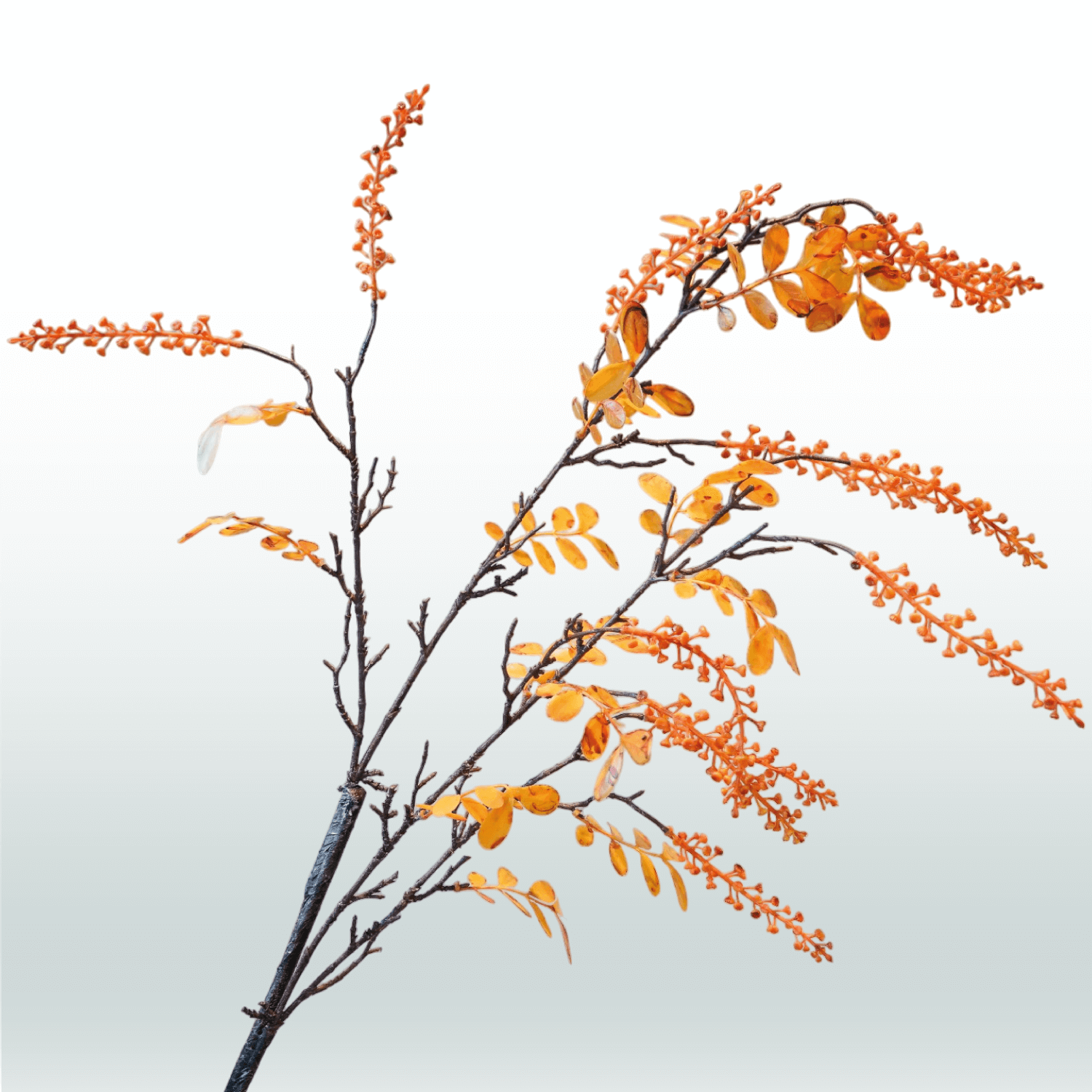 Herfsttak 125cm oranje