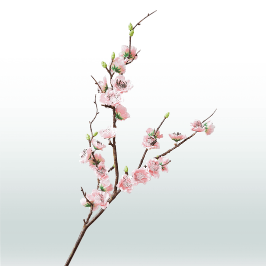 Japanse Sierkers 75cm lichtroze