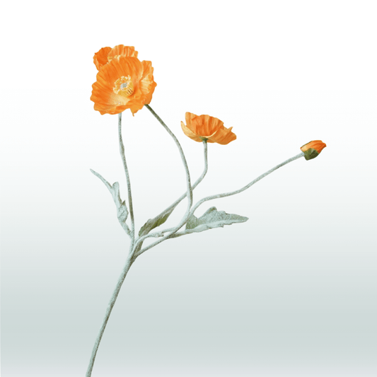 Klaproos oranje 57cm