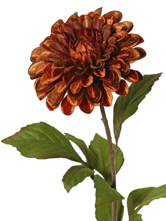 Dahlia 'glamour' oranje