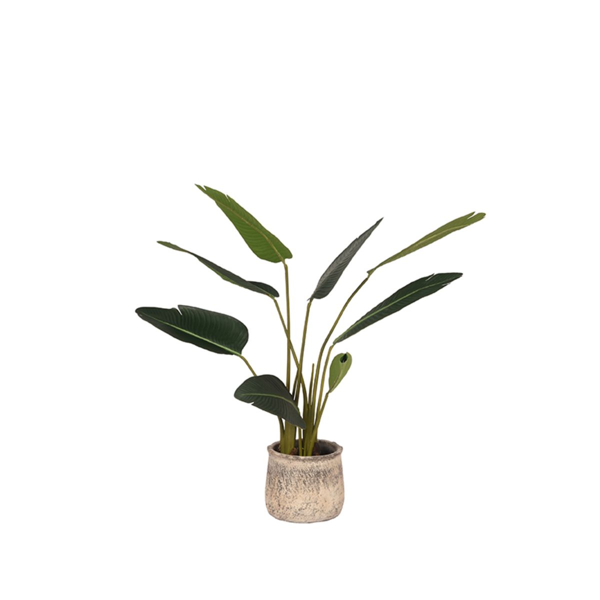 Kunstplant Strelitzia