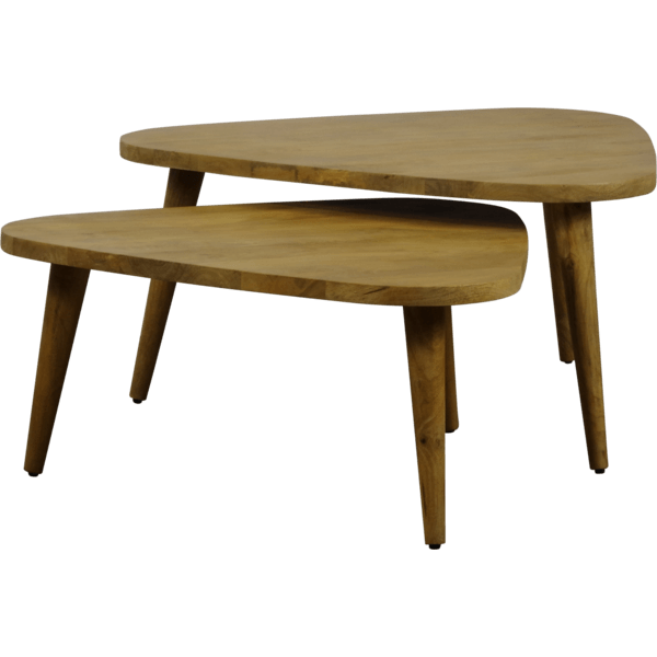 Albert 2-piece coffee table set 