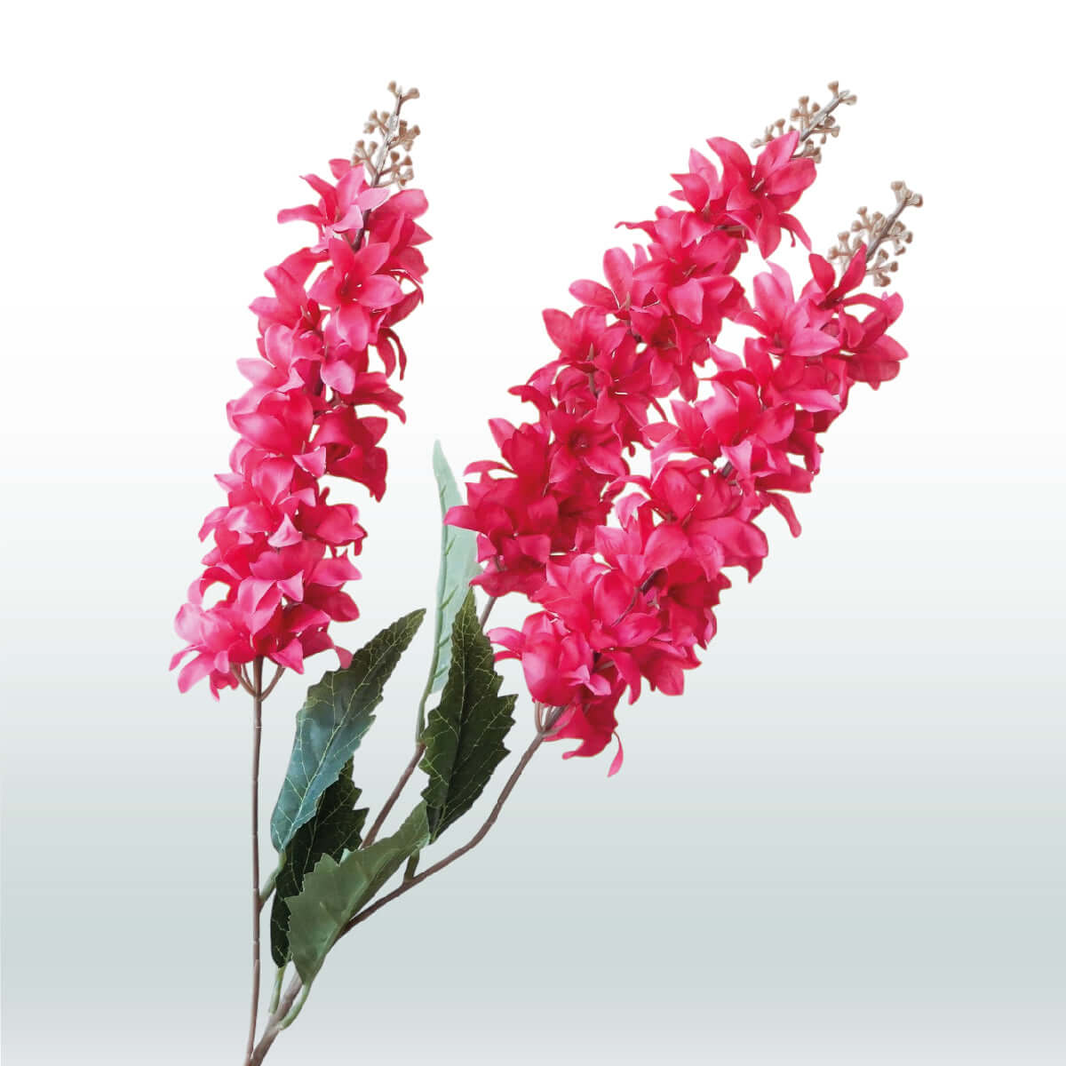 Larkspur Delphinium Three-branched 82cm dark pink