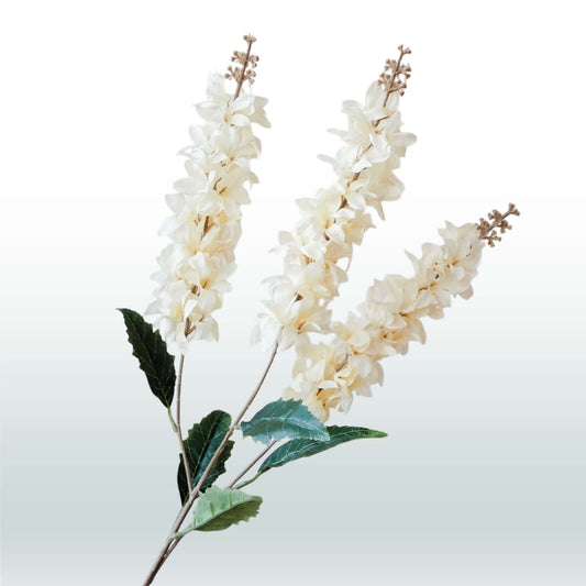 Ridderspoor Delphinium Drietak 82cm wit