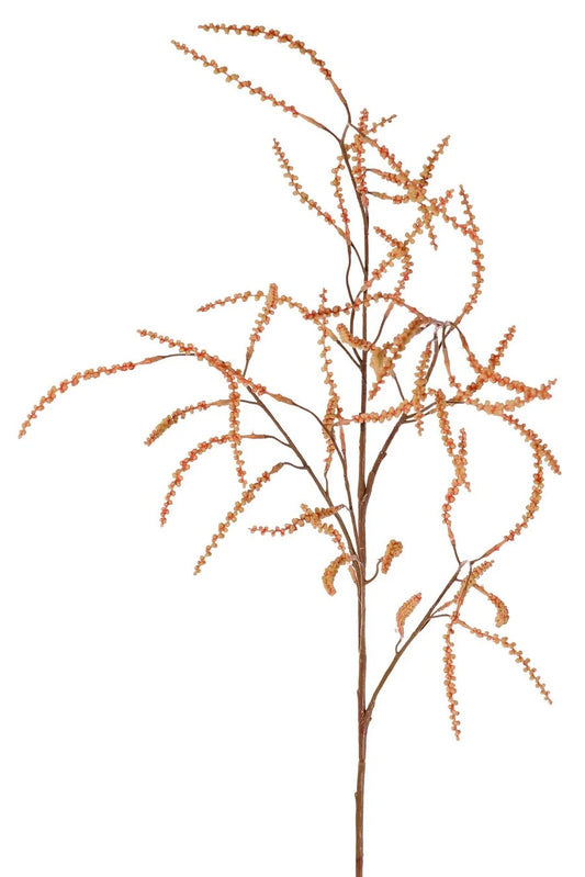 Tamarisk knoppentak oranje