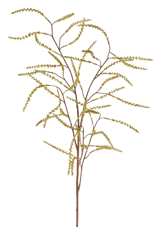 Tamarisk knoppentak geel